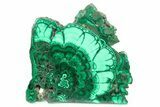 Flowery Polished Malachite Slab - DR Congo #266796-1